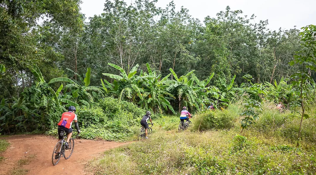 14-Day Vietnam North to South E-Bike Tour: The Ultimate Epic Journey Through the S-Shaped Land